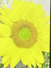 ポロ(POLO) Ritsuko