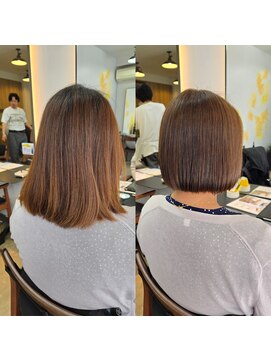 リンク(Link) 夏を乗り切るボブ