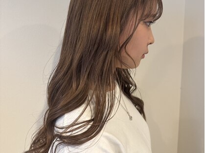 イニシオ(inicio)の写真