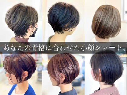 ディグニティ(DIGNITY)の写真
