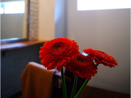 ルーノ(luno)の写真