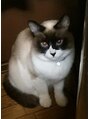キュア 小岩店(cure)&nbsp;我が家のペット名前はねこちゃんツンデレなところが可愛いです