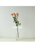 hair set
