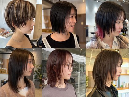 ローゼル(roselle)の写真