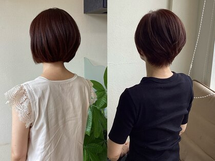 ジッピー(Zippy)の写真