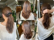 アサクラ シンキタ(ASAKURA SHINKITA)