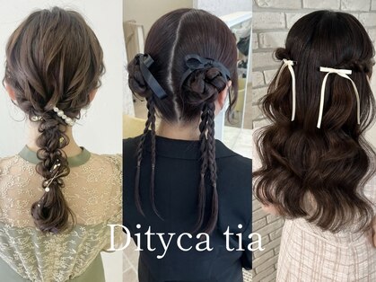 ディティカ ティア(Dityca tia)の写真