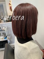 ガーベラ(gerbera)&nbsp;pinkボブ◎