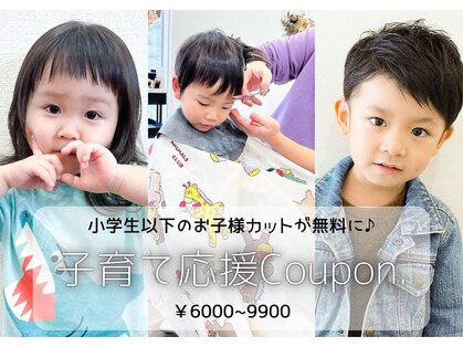 トイ(TOY)の写真