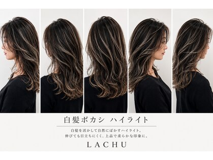 ラチュ(LACHU)の写真