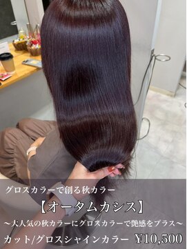 クレア 岡崎南店(CREA) グロスシャインカラー♪オータムカシス