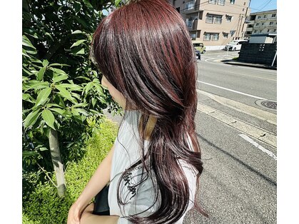 アルベロ(albero)の写真