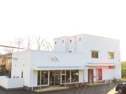 ソル(SOL)の写真