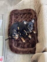 ヘアクラブ シャンティー 八田店(hair club shanty)&nbsp;花田 涼子