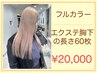 【カラー無料】リピーター様限定◆トレンドカラー+シールエクステ60枚￥20000