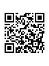 ノーチェ(noce) noce eyelash