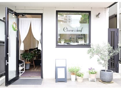 クローバーリーフ(Clover Leaf)の写真