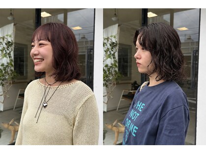 ハロウの写真