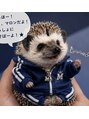 エトワール(etoile) ハリネズミと暮らしてます☆★