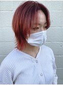 ウルフ×ハイボルドー