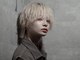 シン(syn)の写真