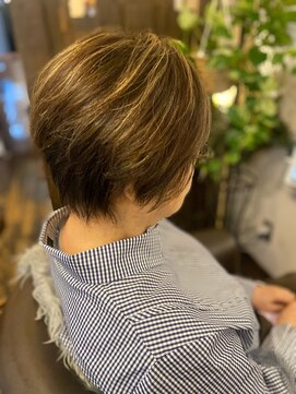 スノードロップ(SNOW DROP) 50代xショートxブラウン