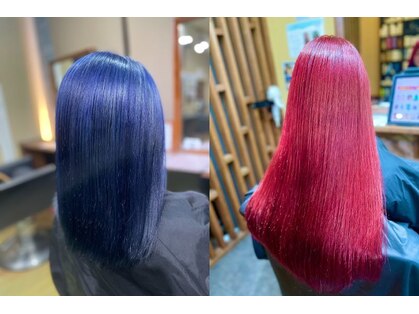 パピヨンロゼ(Papillon Rose)の写真