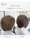 白髪ぼかしハイライト/脱白髪染め