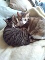 ヘアサロン チル(chill)&nbsp;猫大好きです。 実家に7匹の猫たちがいます。 