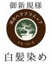 平日限定【お肌に優しい白髪染め・毛髪ケア】白髪染め用ケア15.000円分贈呈