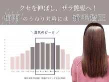 ラポールヘア イオン東長崎店