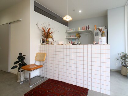 ニコ(NIKO)の写真