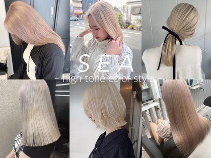 シー 浦安(SEA)の写真