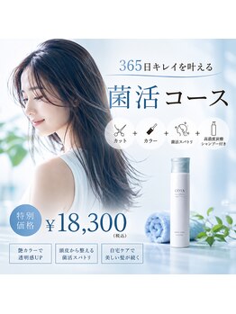 アーティック ヘア ディーヴァディーヴォ テスタ(ARTIC HAIR DIVA DIVO TESTA)の写真/サロン帰りだけじゃない。３６５日キレイな髪へ。