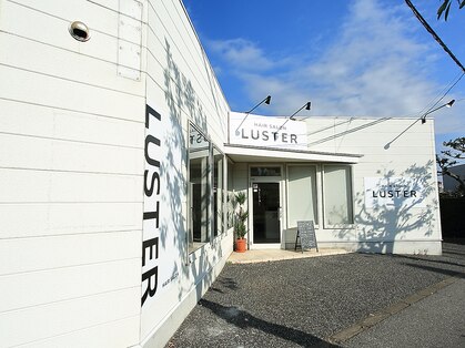 ラスターシヅ(LUSTER shizu)の写真