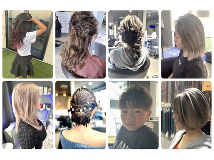 ブルー バード(BLUE BIRD)の写真