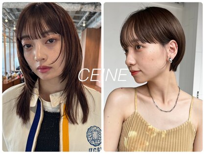 セーヌパス(CEINE PATH)の写真