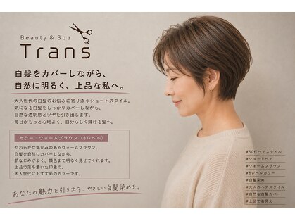 トランス(Trans)の写真