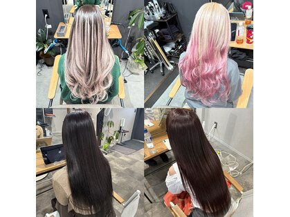 ノワレ(Noiae)の写真