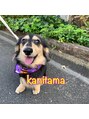 美容室 ツリー(Tree)&nbsp;愛犬です♪1秒でも長く一緒に居たいです(^^)