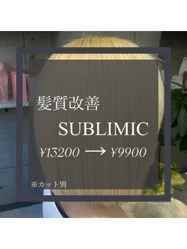 ヴィオラスバイポッシュ ギンザ(Violus by Posh GINZA) 髪質改善byサブリミック（酸熱トリートメント）