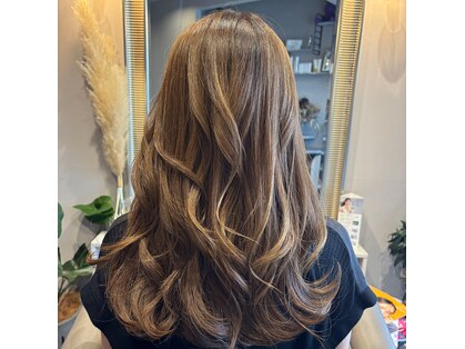 ソフ(soph)の写真