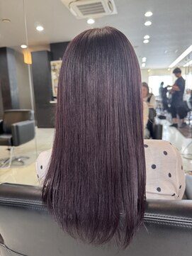 シャンプーボーイエイムス(SHAMPOO BOY aims) ダークバイオレットカラー