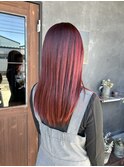 ブリーチなし/チェリーレッド 艶カラー 赤髪 暖色/ワインレッド 