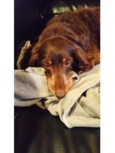 マニフィック&nbsp;間山 理恵