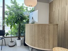 メゾンシアー(Maison Sheer)の雰囲気（木の温かみを感じる店内）