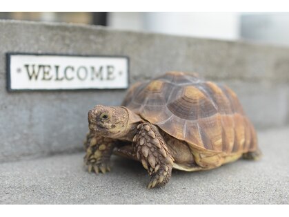 ハコミフ(HACOMIFU)の写真