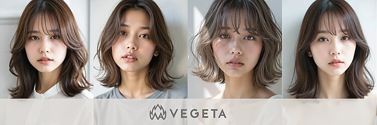 ベジータ(VEGETA)のサロンヘッダー
