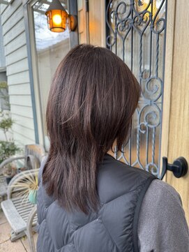 チョコレート(chocolate) メテオカラー