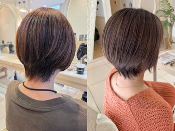 ミーサ(MYSA)の写真/白髪ぼかしハイライト×透明感カラー｢大人見えする上品ショート｣に